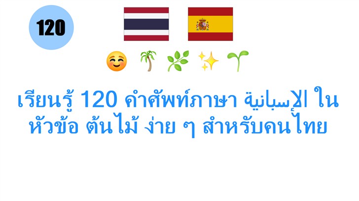 เรียนรู้ 120 คำศัพท์ภาษา الإسبانية ในหัวข้อ ต้นไม้ ง่าย ๆ สำหรับคนไทย